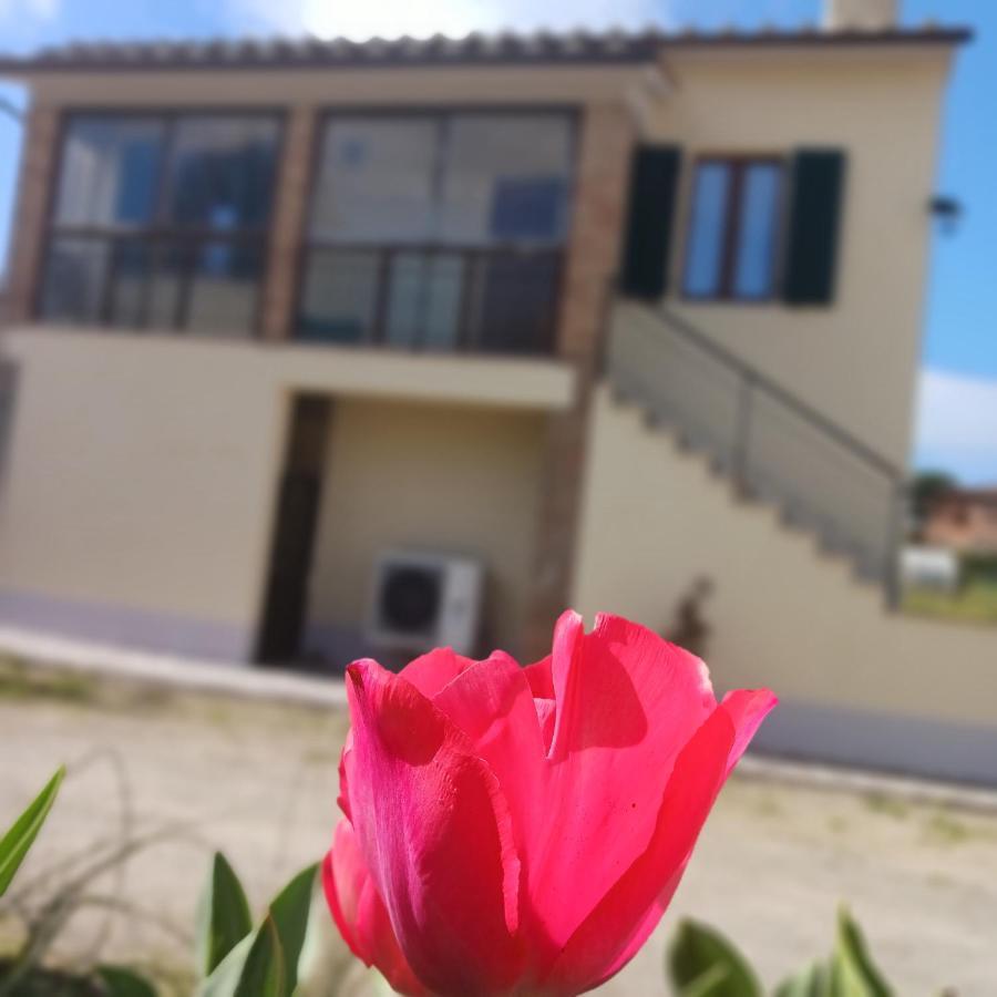 הוילה מונטיצ'יאנו Casa Di Zio מראה חיצוני תמונה