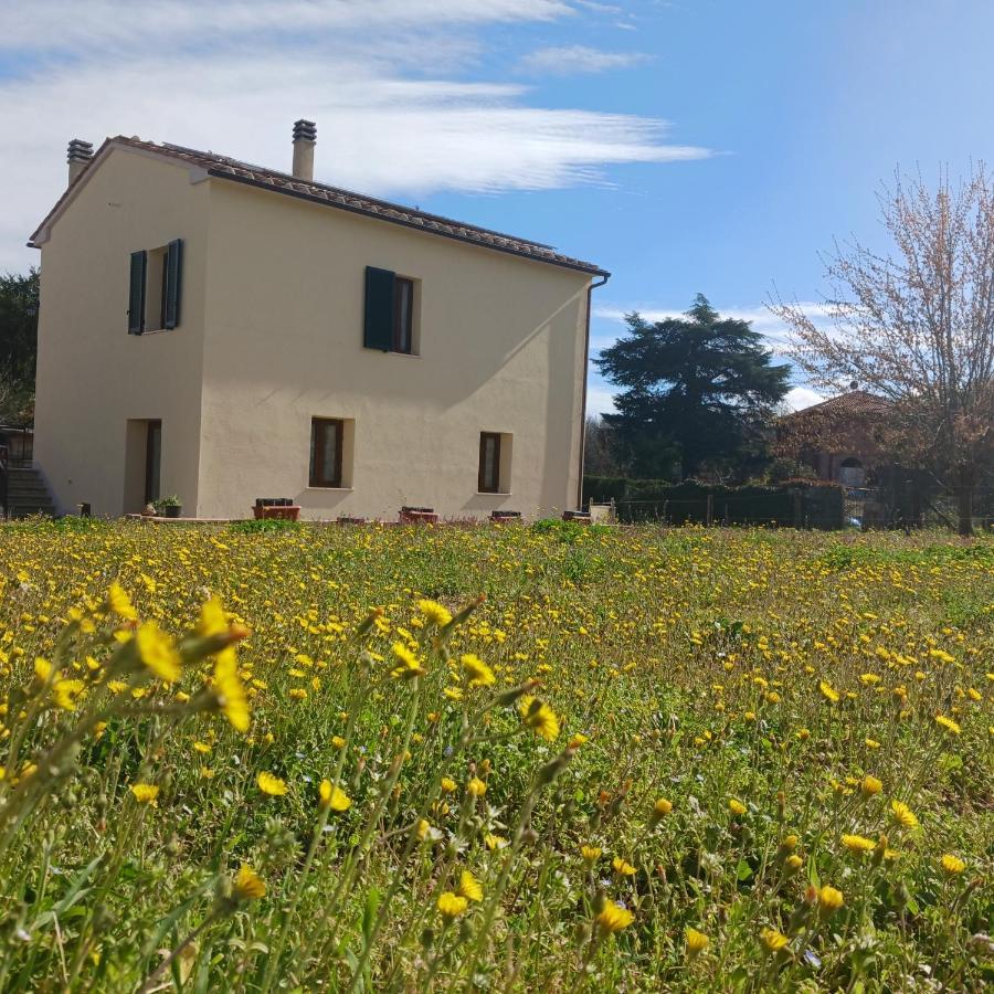 הוילה מונטיצ'יאנו Casa Di Zio מראה חיצוני תמונה